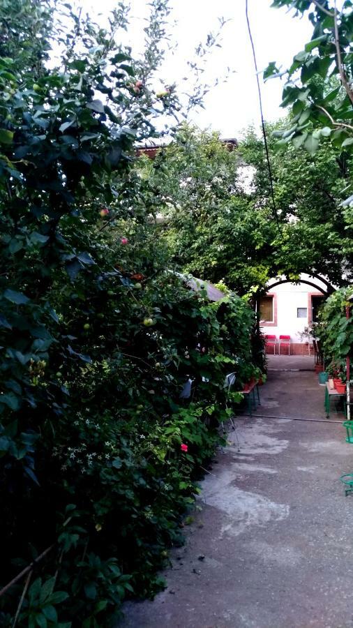 Casa Din Gradina Eforie Sud Exterior foto