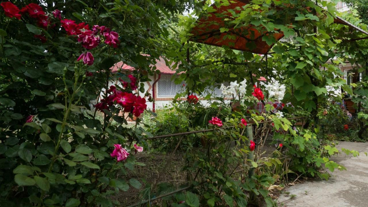 Casa Din Gradina Eforie Sud Exterior foto